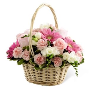 Garden Romance  Garden Romance