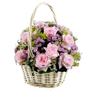 Splendid Pink  Splendid Pink