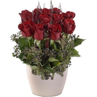 Έρωτας με την πρώτη ματιά