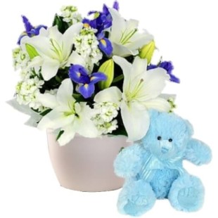 Δώρο για νεογέννητο αγοράκι 