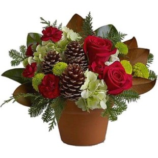 Κασπώ Χριστουγεννιάτικο με Κουκουνάρια 