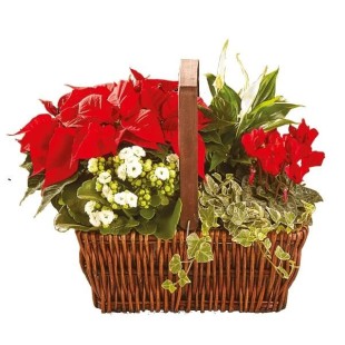 Χριστουγεννιάτικο Καλάθι