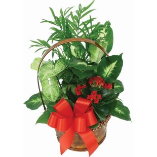 Καλαθάκι elegant 