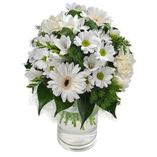 Λευκό Ανάμεικτο 