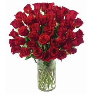 Red Fever  Red Fever