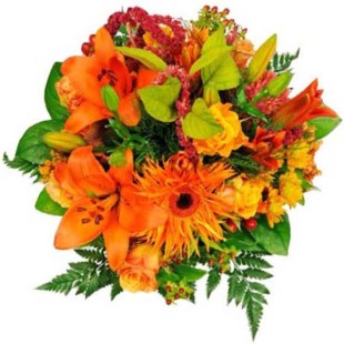 Μέσα από την καρδιά μου 