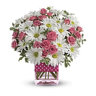 Polka Dots and Posies  Polka Dots and Posies