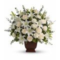 Loving Lilies and Roses 