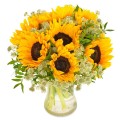 Sunny sunflower Sunny sunflower
