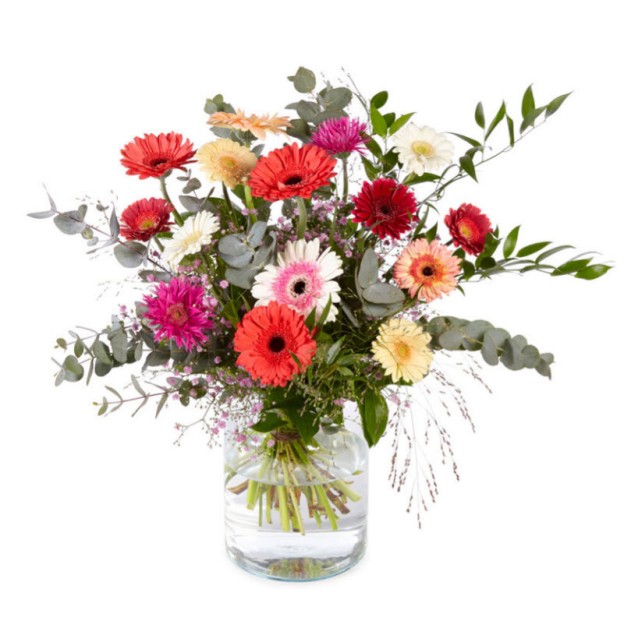 Φωτεινές Ζέρμπερες 