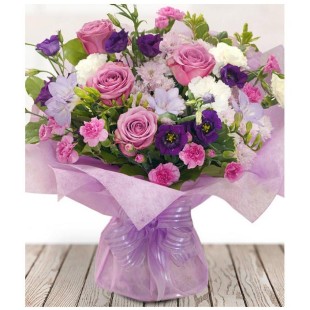 New Princess (UK) New Princess (UK)