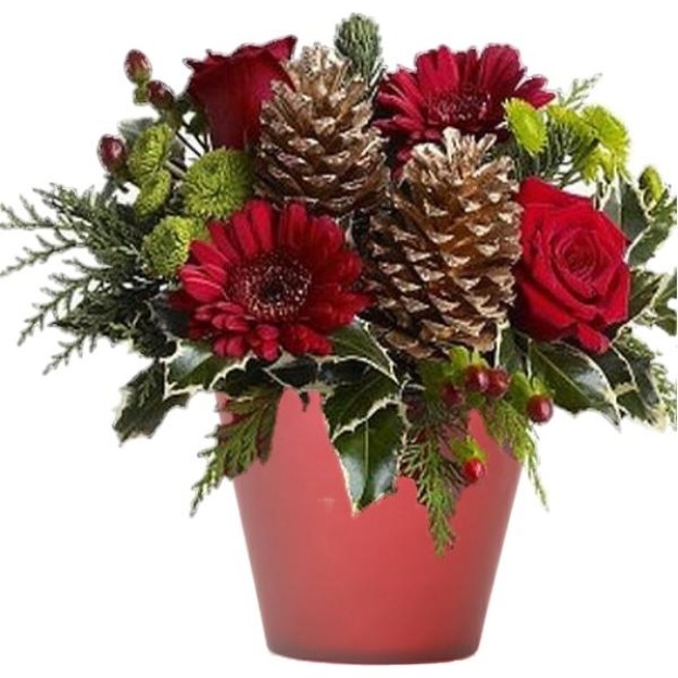 Κασπώ Χριστουγεννιάτικο με Ζέρμπερες