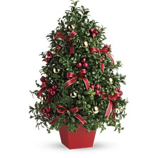 Deck The Halls Tree (USA-CANADA)