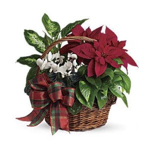 Holiday Homecoming Καλάθι  (USA-CANADA)