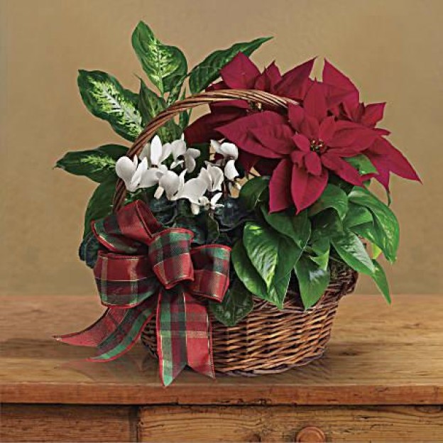 Holiday Homecoming Καλάθι  (USA-CANADA)