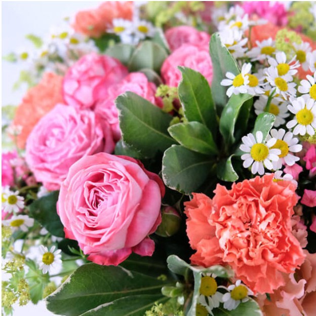 Radiant μπουκέτο (CH)