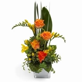 Festive Σύνθεση (MC)