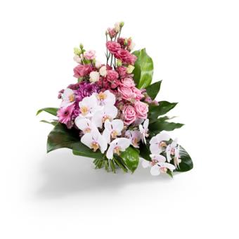 Tendre Σύνθεση (MC) Tendre Σύνθεση (MC)