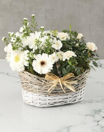 Καλάθι με Επιλεγμένα Φυτά (ZA)