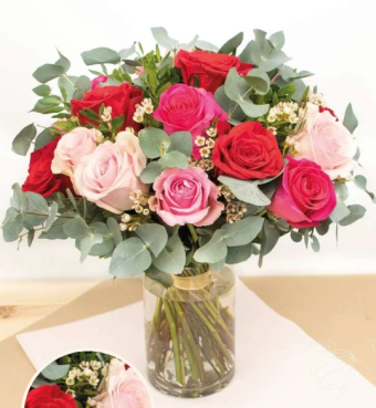 Alegría Μπουκέτο (ESP)