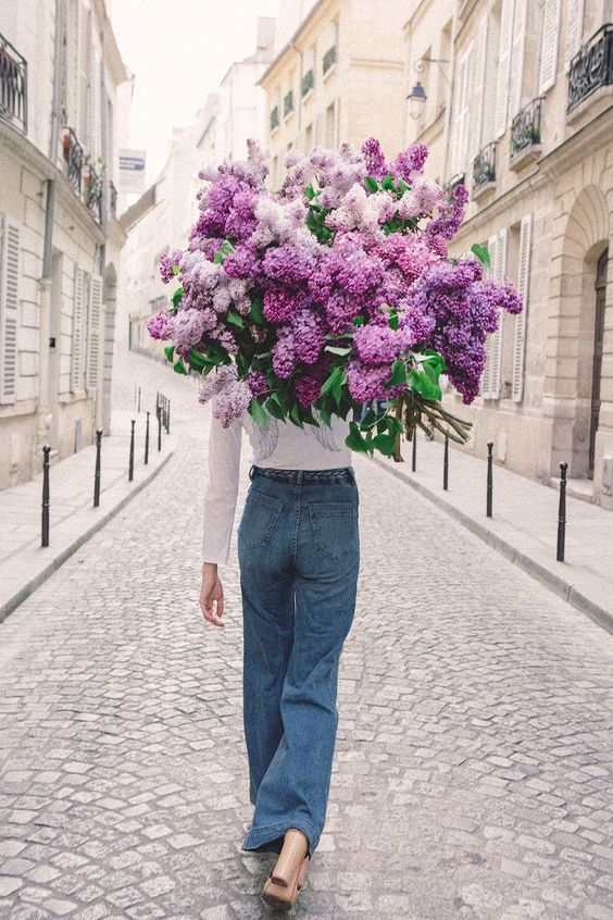 cosmoflora_lilac_flower
