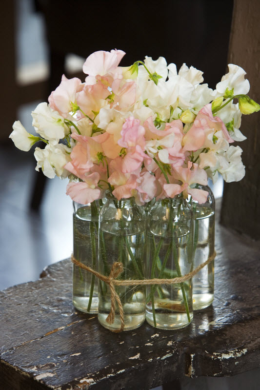 cosmoflora_lisianthoi