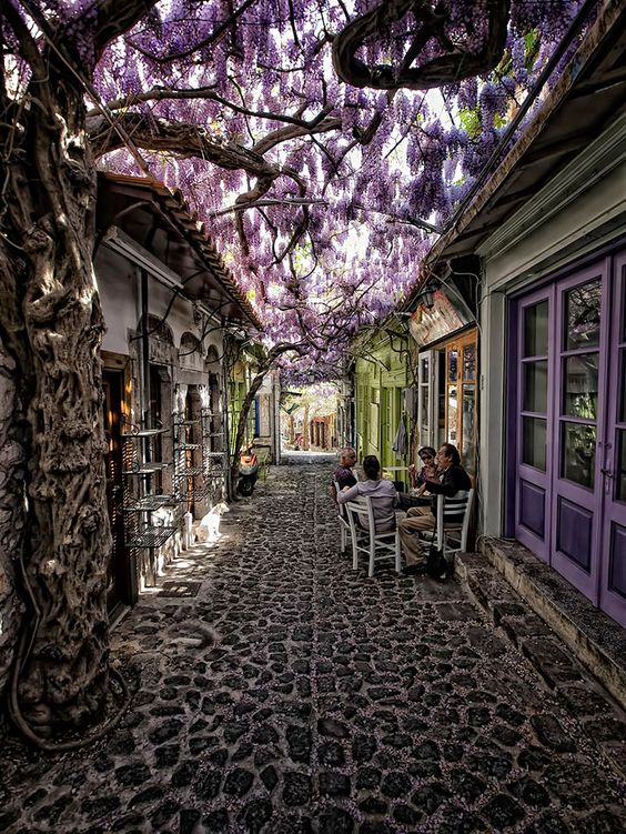 paschalia_in_lesbos_cosmoflora
