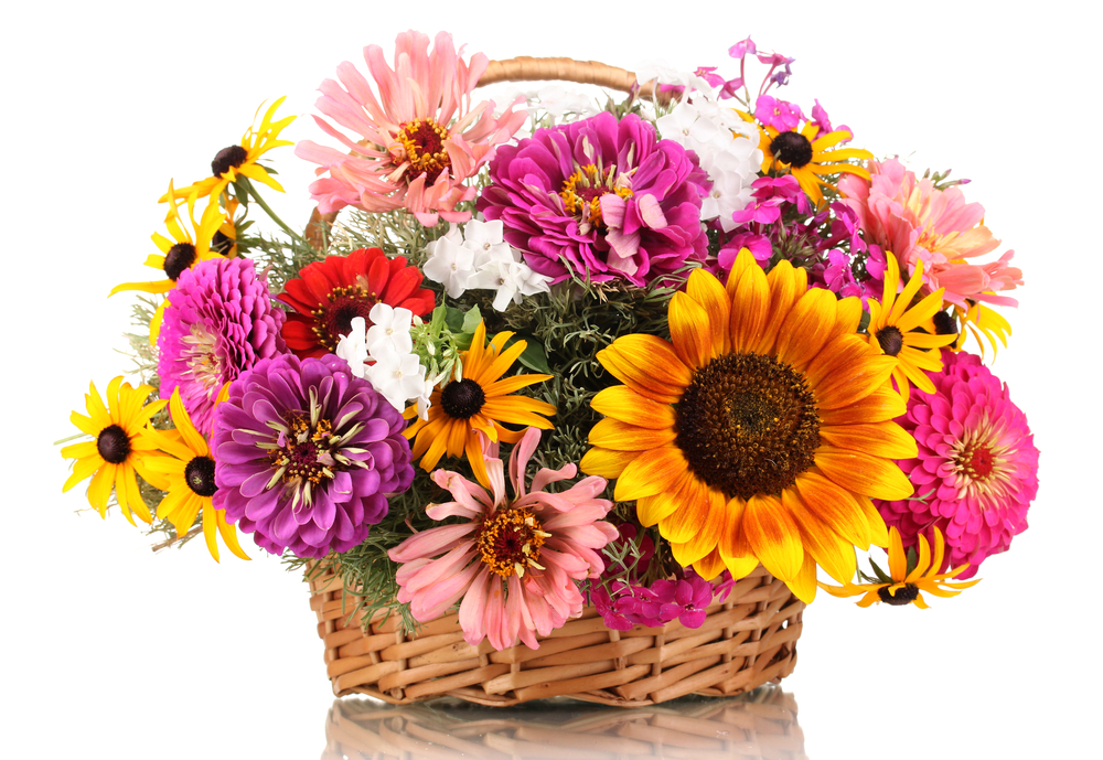mothers day cosmoflora 2019