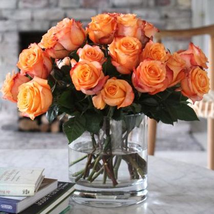 cosmoflora_orange_roses