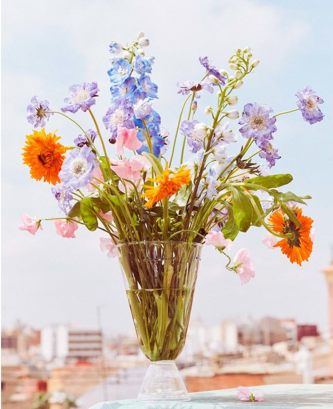 summerbouquet_cosmoflora